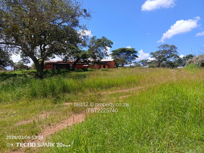 Mazowe Farm For Sale  (Sole Mandate)