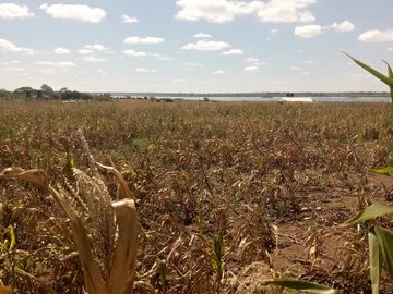 Farm & Agricultural Land