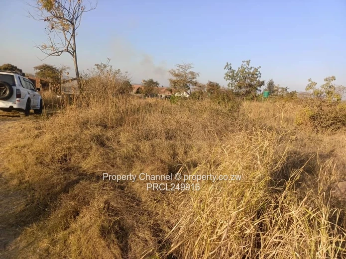 Stand for Sale – Prime Location Near Ocean Primary School