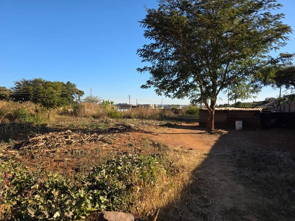 Stands & Residential Land