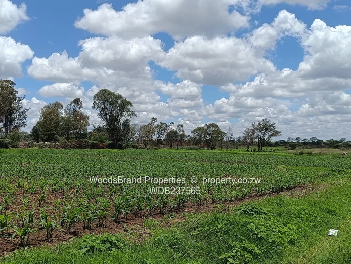 Mt Hampden land For Sale