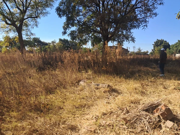 Stands & Residential Land