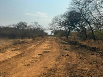 Farm & Agricultural Land