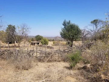 Farm & Agricultural Land