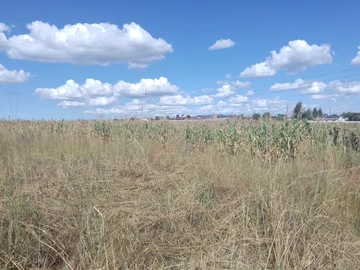 Commercial & Industrial Land