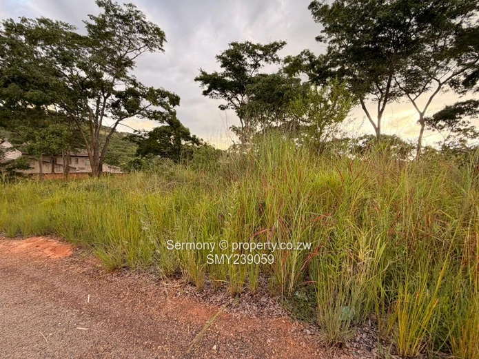 Prime Carrick Creagh Estate Stands For sale