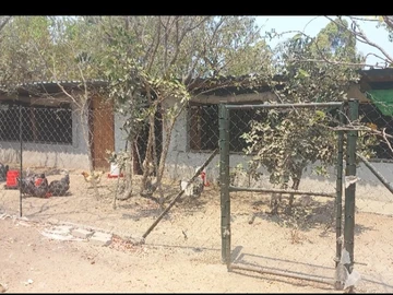 Farm & Agricultural Land