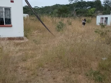 Farm & Agricultural Land