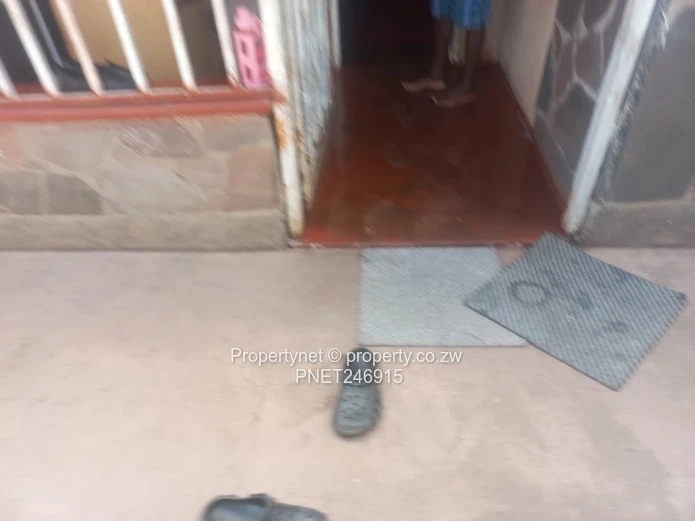 Investment Opportunity