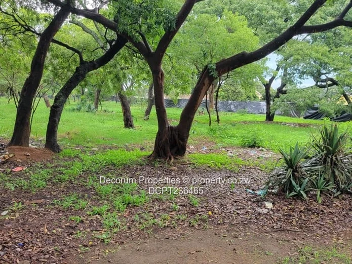 Beautiful stands Borrowdale Kinsley Estate
