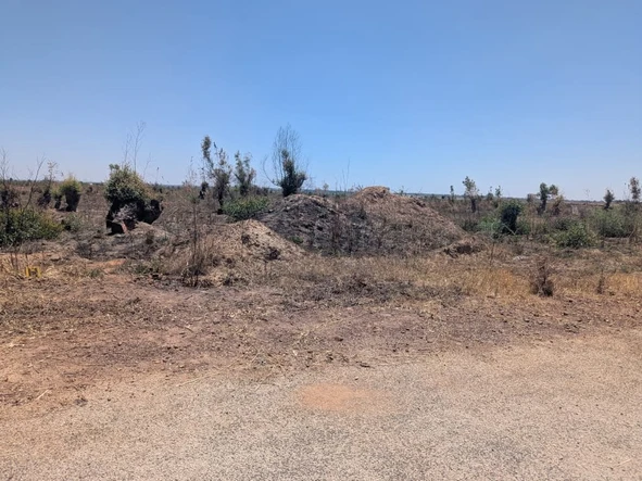 Stands & Residential Land