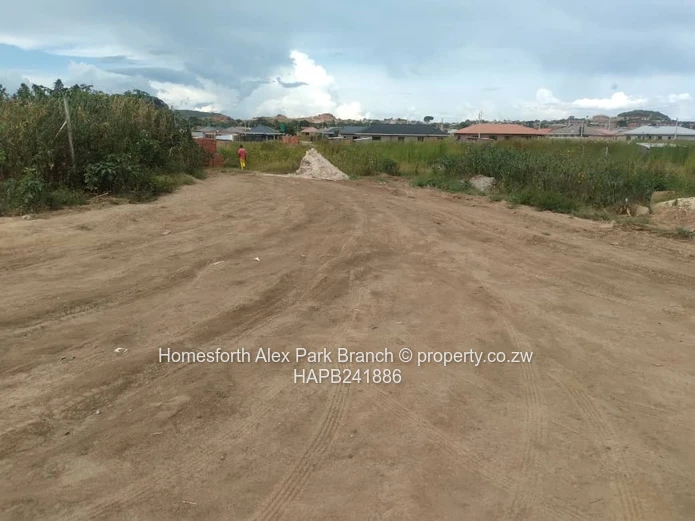 New Marimba Stand On Sale