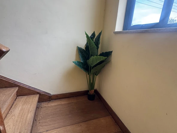 3 Bedroom Flat & Apartment