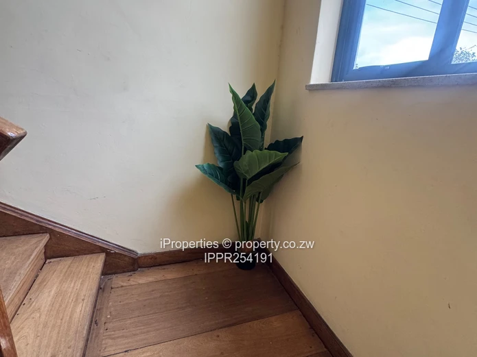 Furnished 3-Bed Flat in Avenues — Parquet & Gated Patio