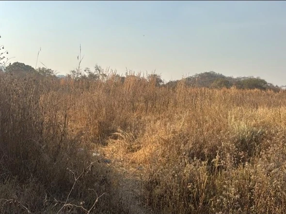 Commercial & Industrial Land
