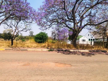 Commercial & Industrial Land