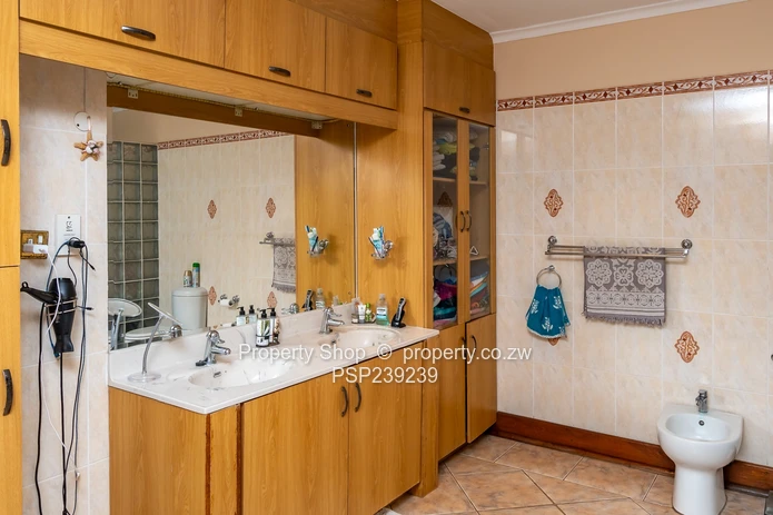 The Ultimate All-in-One Experience