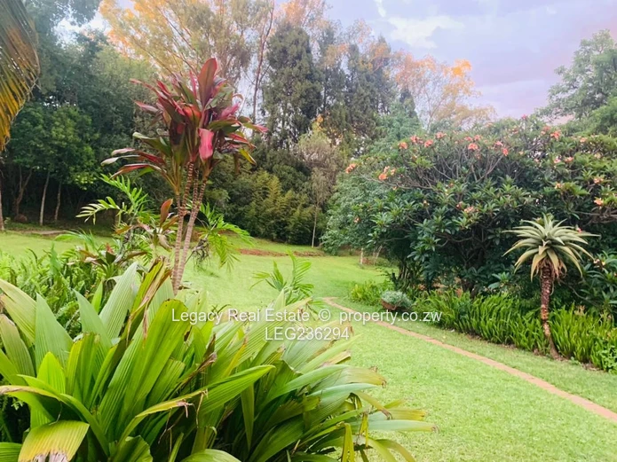 Elegant 3-Bed Borrowdale Furnished  Home