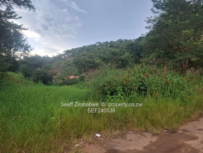 2,200sqm with Title Deed (Sole Mandate)