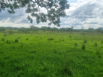 Farm & Agricultural Land