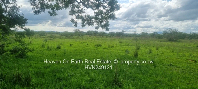 Plots for sale