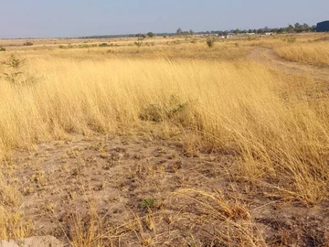 Commercial & Industrial Land