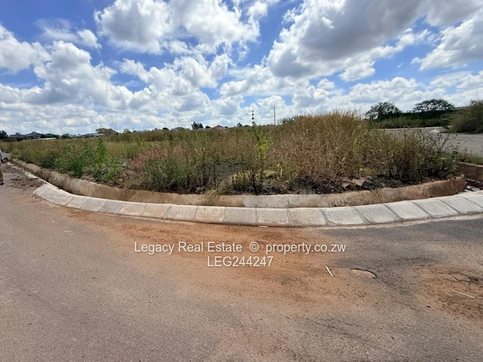 Good Investment Opportunity - Corner Stand in a Prime location.