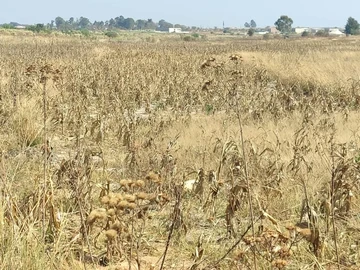 Farm & Agricultural Land