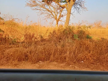 Farm & Agricultural Land