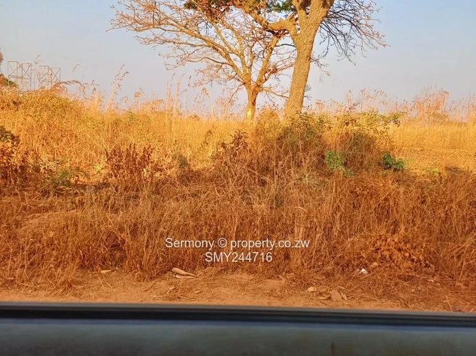 Agro Plot For Sale - Glen Forest