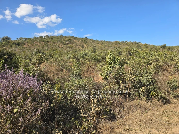 3245 m² Roadside Stand in Murambi — Highway Frontage & Hill Views
