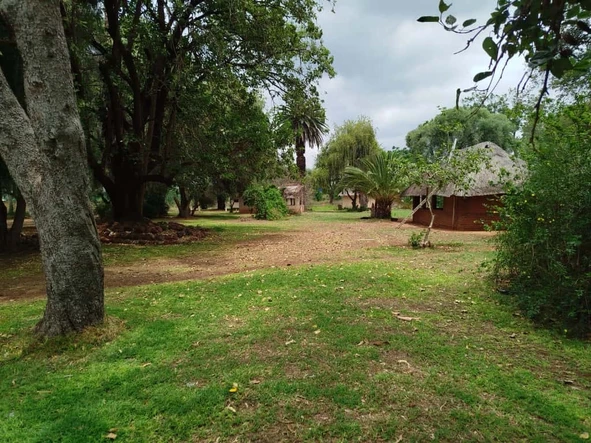 Farm & Agricultural Land