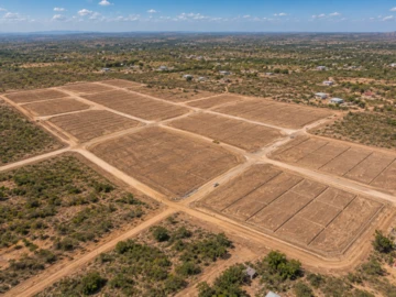 Stands & Residential Land