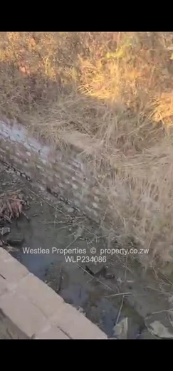 An opportunity not to miss