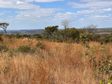 Farm & Agricultural Land