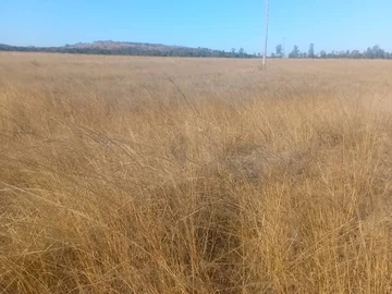 Farm & Agricultural Land