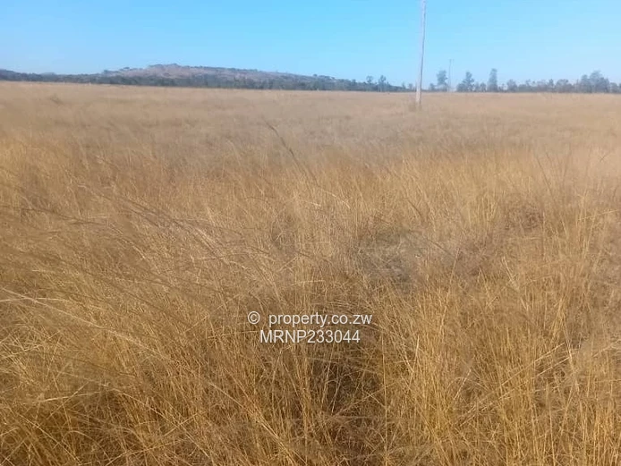 Chinhoyi farm for sale (Sole Mandate)