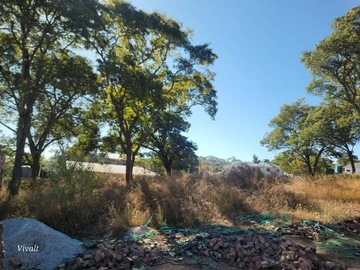 Stands & Residential Land