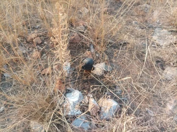 Farm & Agricultural Land