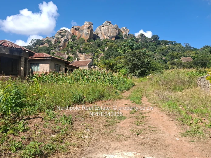 Perfect For  First Time Owners!!!