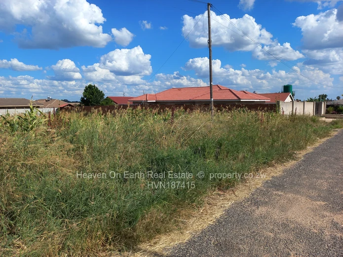 Neat stand (Sole Mandate)