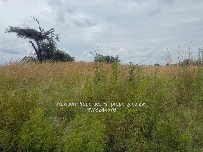 Make a good choice and secure a stand!!