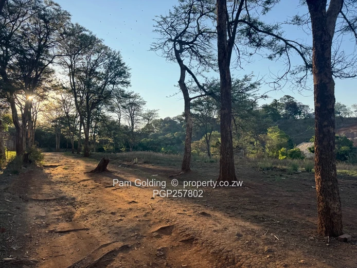 Harare North Stand For Sale