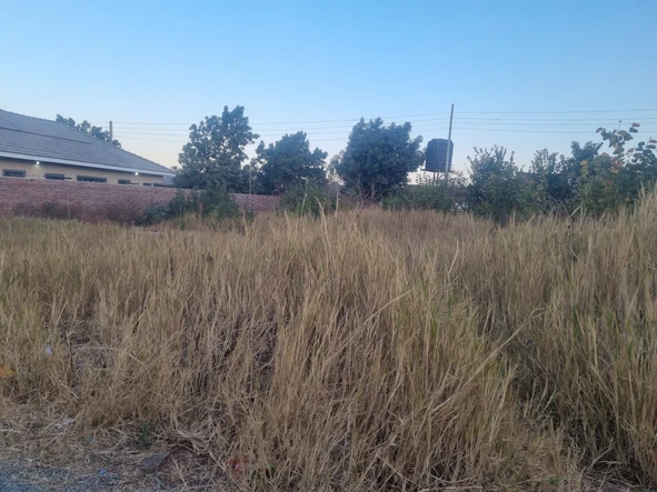 Stands & Residential Land