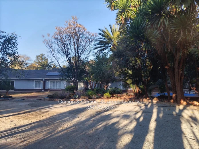 A stone thrown away from Harare International 