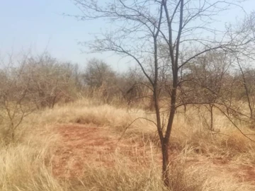 Farm & Agricultural Land