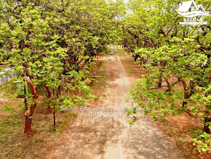 Immaculate house for sale in Suburbs 