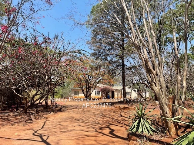 New On The Market - Ideal Investment - 