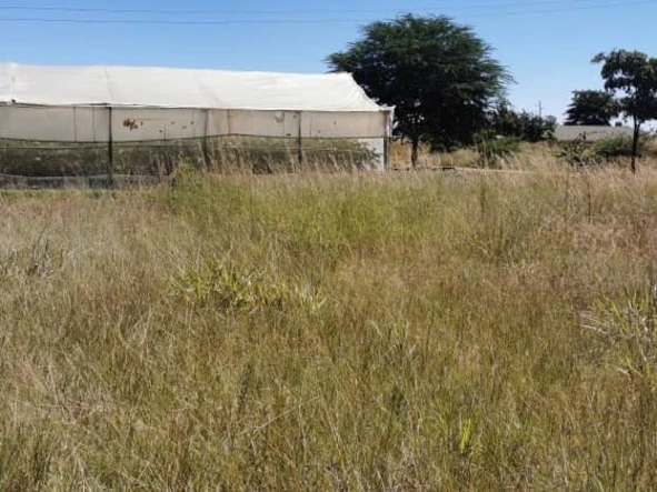 Stands & Residential Land