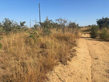 Land